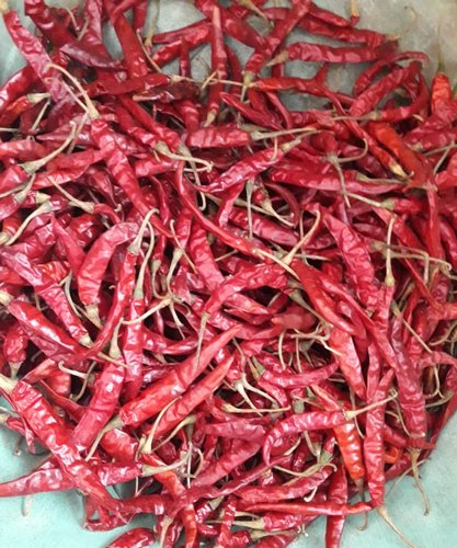 Organic Red Chilli S17, for Making Pickles, Powder, Feature : Hot Taste, Hygienic Packing, Optimum Freshness