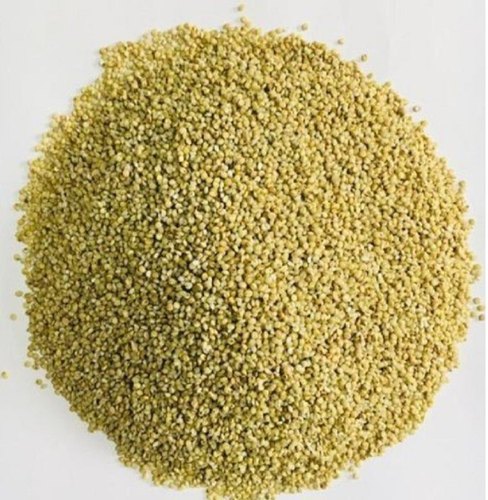 Unpolished Browntop Millet, for High In Protein, Packaging Type : Loose