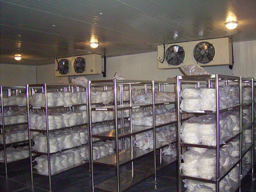 Electric Frozen Meat Storage Room, Feature : Low Maintenance Cost