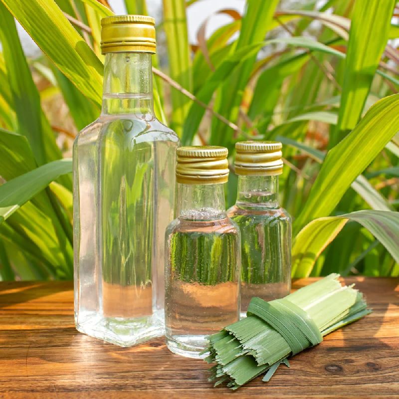 Organic Citronella Hydrosol Water, Packaging Type : Plastic Bottle