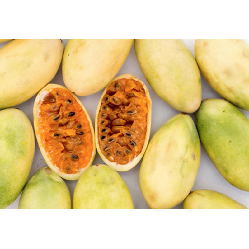 Popular Fresh Exotic Fruit Banana Passion Fruit Fresh Curuba Fruit