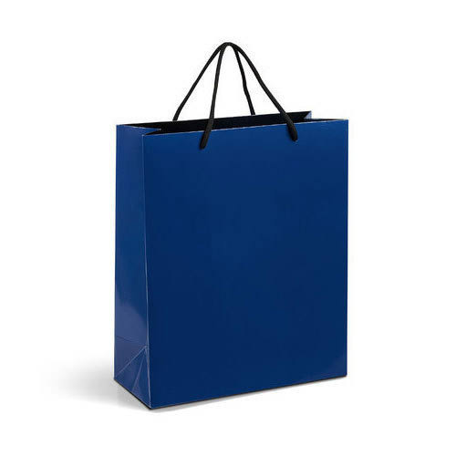 Plain Blue Paper Carry Bags
