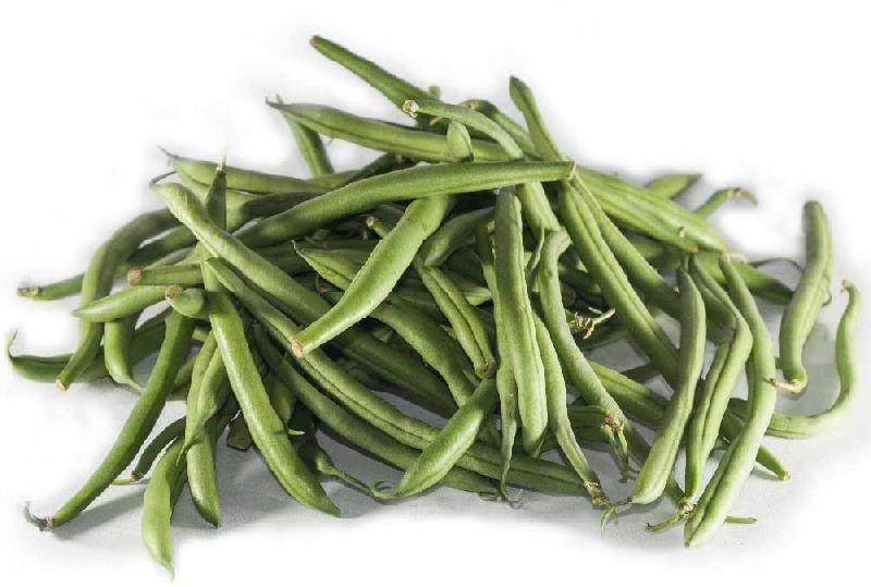 Organic French Beans, for Human Consumption, Feature : Good Taste, Healthy