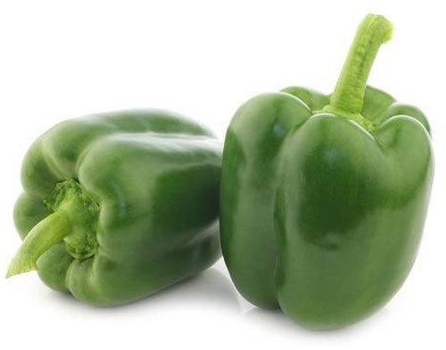 Organic Green Capsicum, for Cooking, Style : Fresh