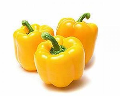 Organic Yellow Capsicum