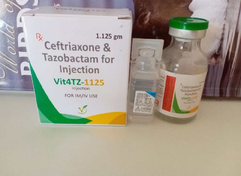 Ceftriaxone sodium tazobactam injection, Shelf Life : 2 Yrs