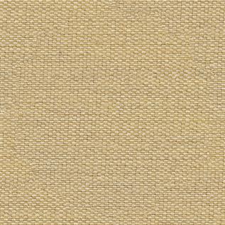 CAN-GC-010 Canvas Fabric