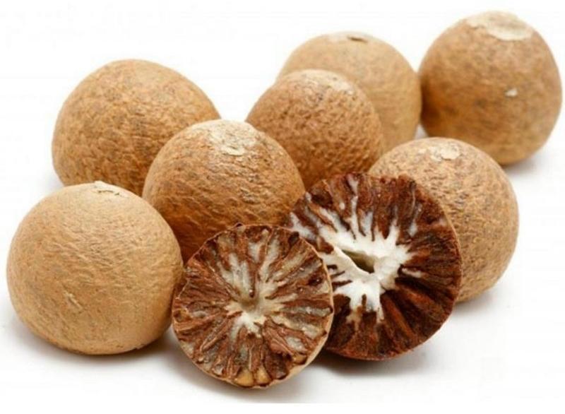 Areca Nuts