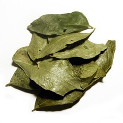 Natural Dried Curry Leaves, for Cooking, Certification : FSSAI Certified