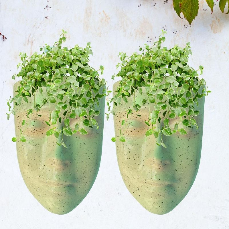 Fiber Matt wall planters, for Outdoor Use, Indoor Use, Decoration, Pattern : Dotted