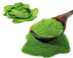 Natural spinach powder