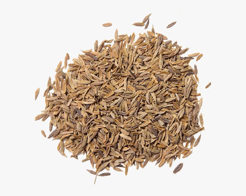 Cumin Seeds, Brand APM OVERSEAS at best price in Ahmedabad Gujarat