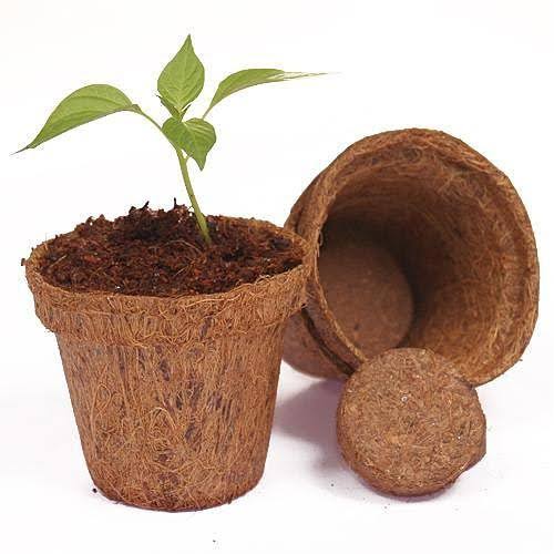 Coco Pots, Color : Brown