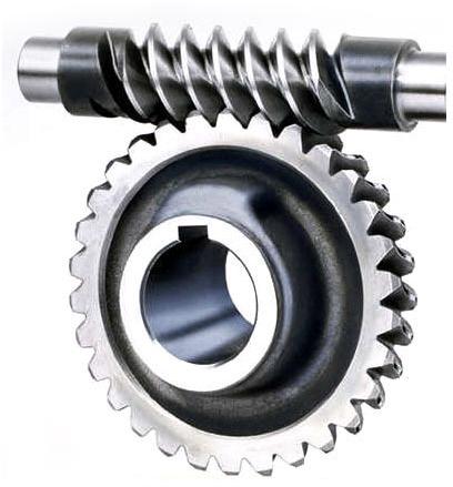 Stainless Steel Powder Coated Worm Gear