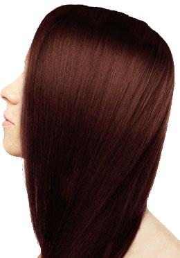 Camilla Dark Brown Hair Color, Form : Powder