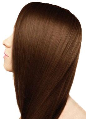 Light Brown Hair Color