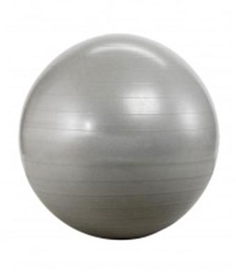 65cm Gym Ball, Feature : Accurate Dimensions, Light Weight, Quality Assured