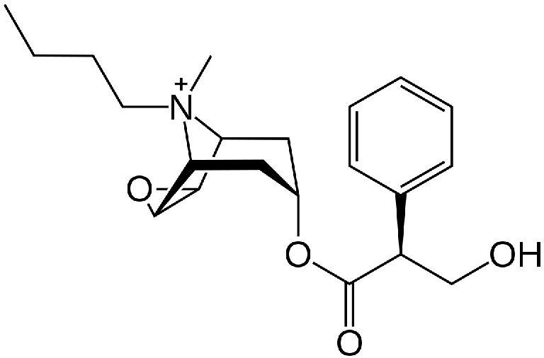 HYOSCINE BUTYL BROMIDE