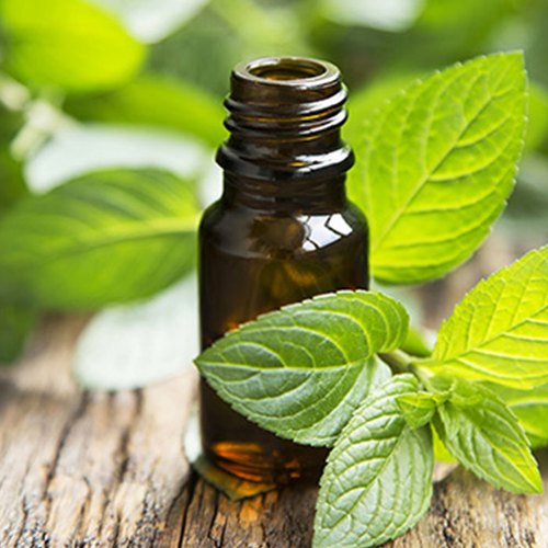 MINT OIL