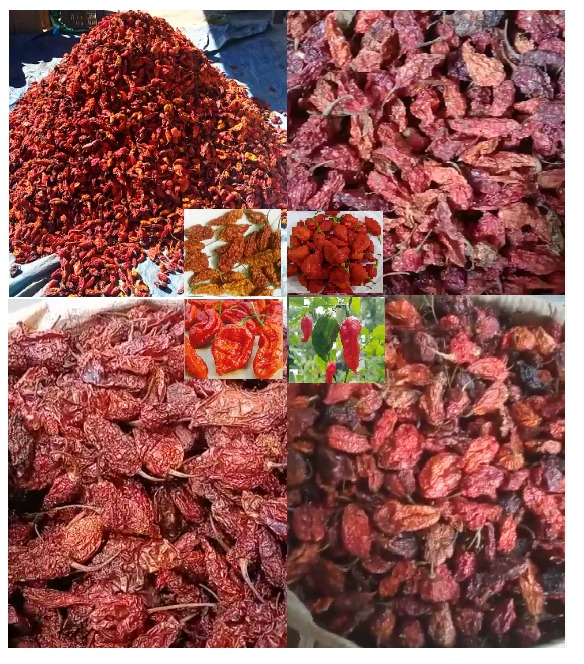 Bhut Jholokia Ghost Chilli Red (Dried)