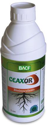 BACF Ceaxor Bioinoculant, Size : 1L / 5L