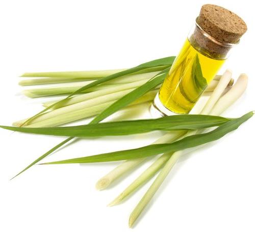 Lemongrass Oil, for Cosmetics Products, Flavouring Tea, Killing Bacteria, Muscle Pain, Reduce Body Aches