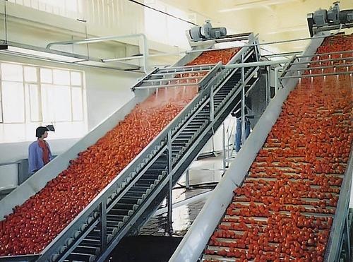 Aluminium Automatic Tomato Processing Plant, Design : Standard
