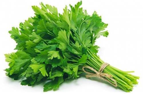 Natural Fresh Parsley Leaves, for Cooking, Packaging Type : Plastic Packet