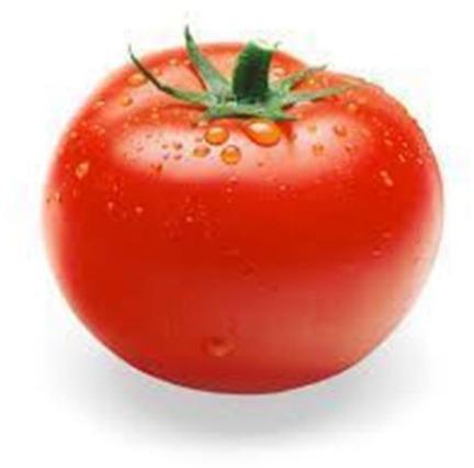 Natural fresh tomato, Shelf Life : 3-7days