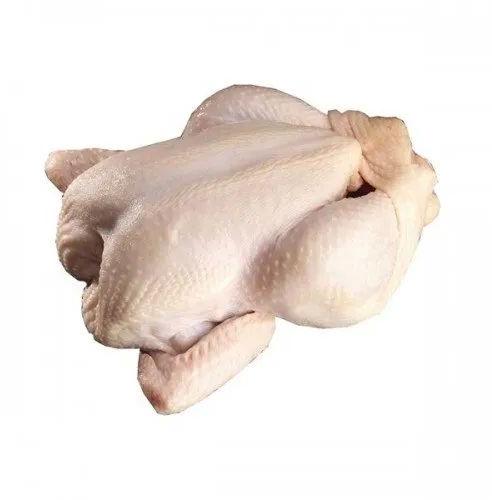 Frozen Broiler Chicken, Style : Whole