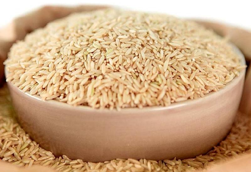 NIRVANA ATLANTIK Organic Brown Non Basmati Rice, Shelf Life : 1year