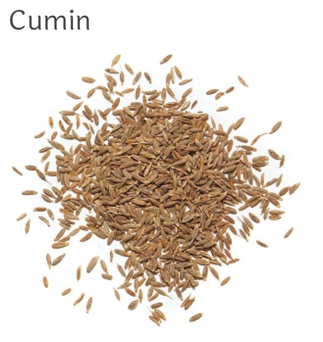 Cumin Seeds at best price in Dhemaji Assam from Sat Kabir Traders