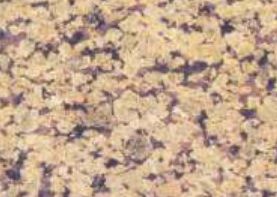 Polished Rainwara Yellow Granite Slab, for Vanity Tops, Kitchen Countertops, Width : 0-1 Feet, 1-2 Feet