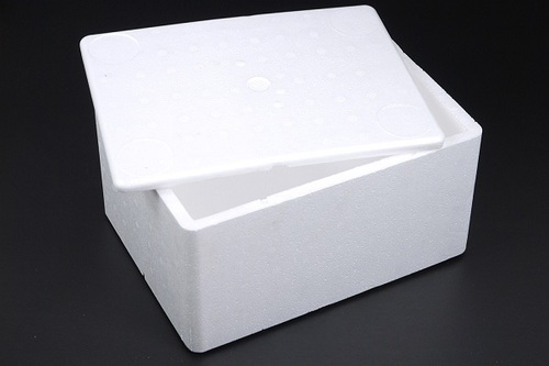 Thermocol Boxes, for Packing, Color : Off White at Best Price in Vapi - ID:  6491910