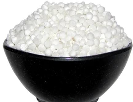 Organic Milky White Sago Seeds, Feature : High Energy Booster, High In Carbohydrate, Natural, Nice Aroma