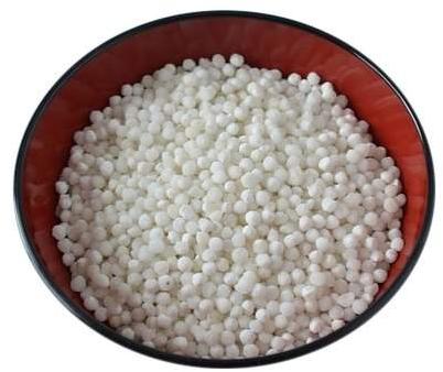 Organic Natural White Sago Seeds, Packaging Type : PP Bag