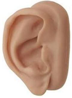 Silicon Ear Prosthesis