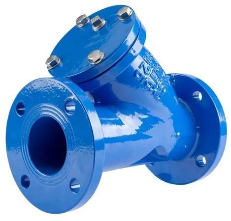 Flanged End Strainer