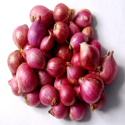 Natural shallot onions, for Human Consumption, Feature : Freshness