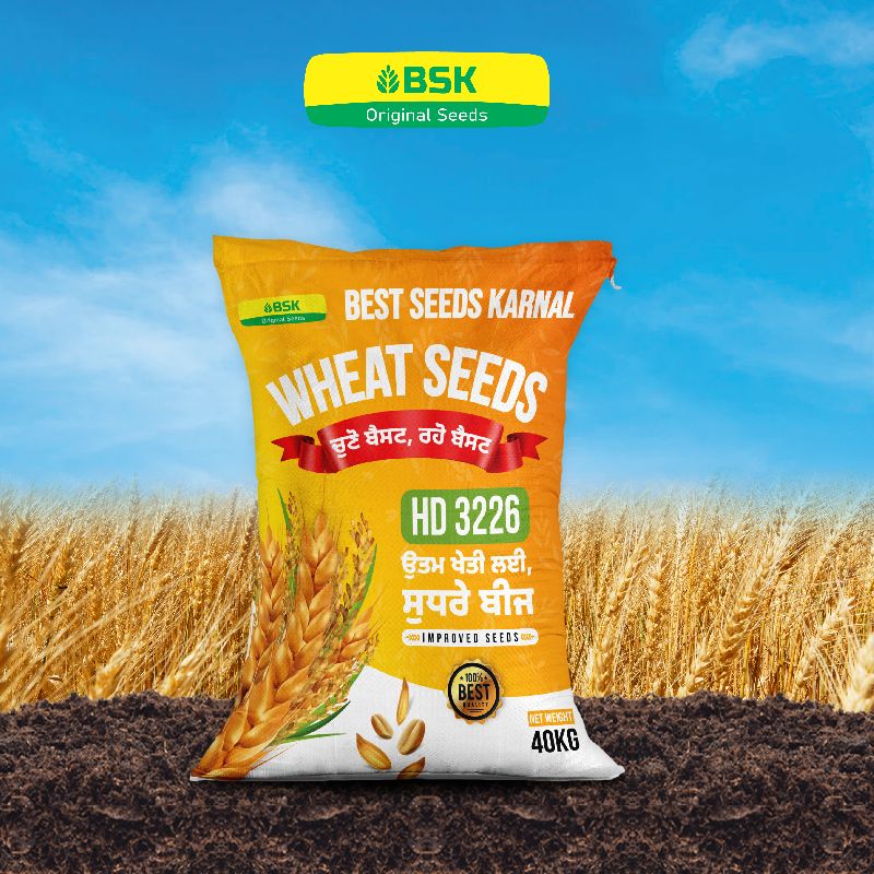 hd 3226 wheat seed