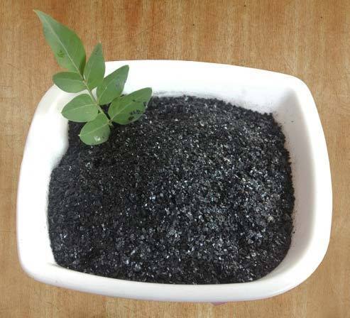  Seaweed Extract Flakes (Standard), Packaging Size : 25 Kg