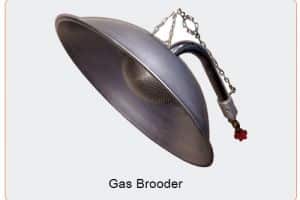 0-2.5 Kg Aluminzied Steel Gas Brooder, Capacity : 600-800 Birds/Heater