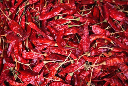 With Stem Organic dried red chilli, Certification : Import Certifications