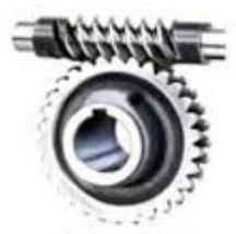 Round Polished Stainless Steel Worm Gear, for Industrial Use, Color : Metallic