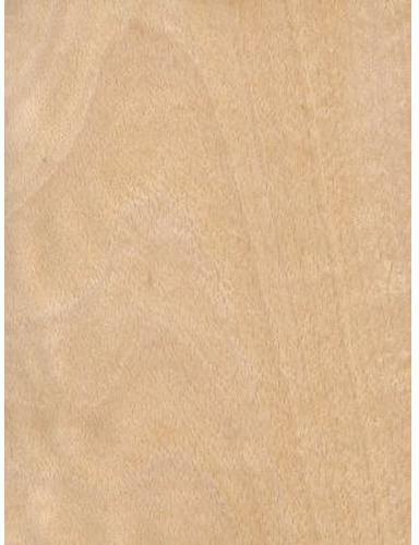 Polished Beech Plywood, for Connstruction, Furniture, Home Use, Feature : Durable, Fine Finished