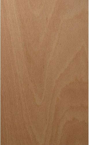 Polished Beefwood Plywood, for Connstruction, Furniture, Home Use, Feature : Durable, Fine Finished