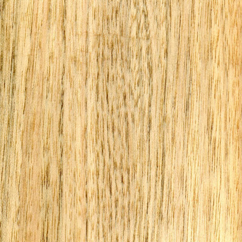 Polished Butternut Plywood, for Connstruction, Furniture, Home Use, Feature : Durable, Fine Finished
