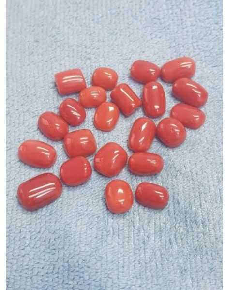 Cabochon Red Coral Gemstone