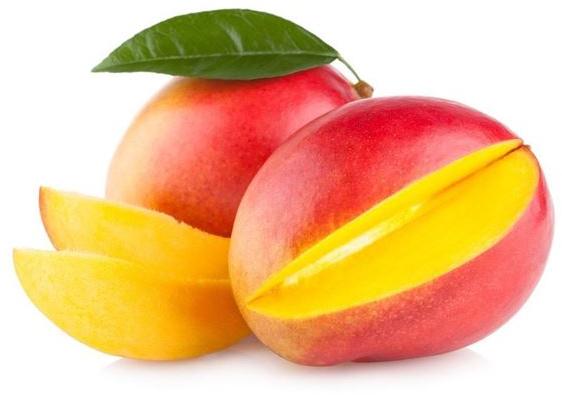 Fresh Mango,fresh mango, for Human Consumption, Packaging Type : Wooden Crate
