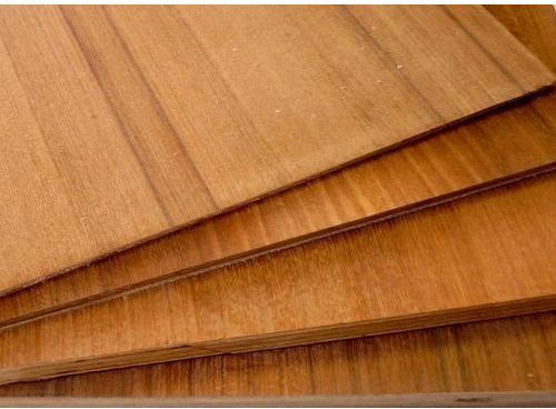 Veneer Plywood